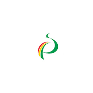 深圳市鵬城交通網(wǎng)絡股份有限公司