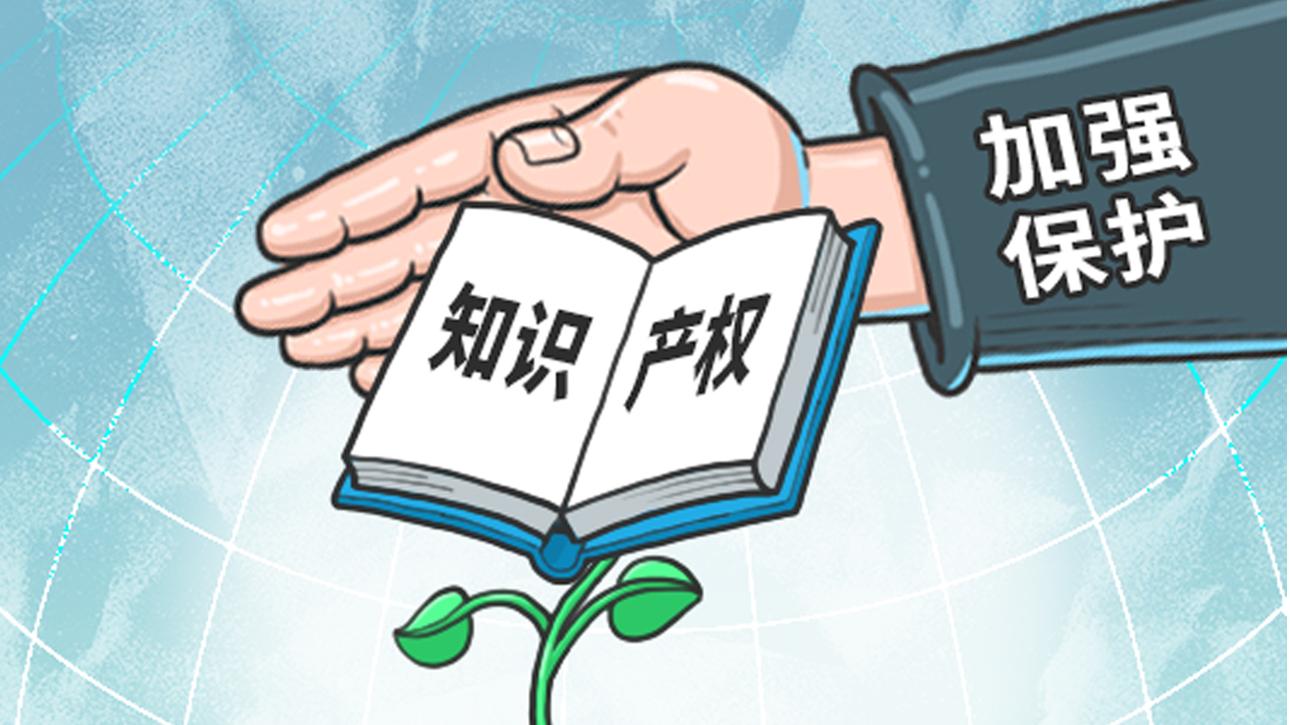 深圳柏權(quán)維為您解析：深圳公司如何申請專利